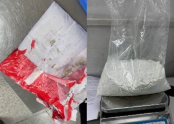 DRI seizes 1.698 kg of cocaine worth Rs. 16.98 crore at IGI Airport