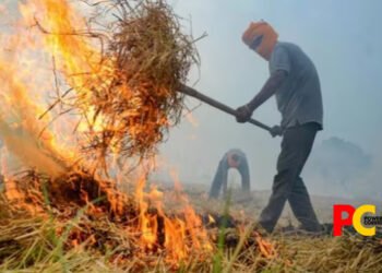 SC asks states to stop stubble burning amid rising pollution