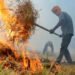 SC asks states to stop stubble burning amid rising pollution