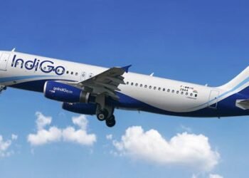 ‘Unacceptable behavior’: Viral video of IndiGo passenger attacking pilot draws harsh criticism