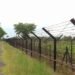 Indo-Myanmar border, Amit Shah, fencing