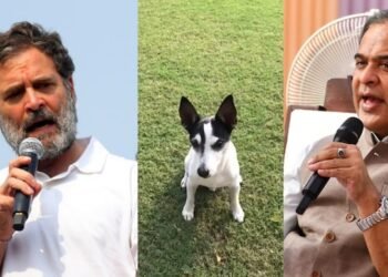 Explained: What led to the ‘dogfight’ between Rahul Gandhi and Himanta Biswa Sarma?