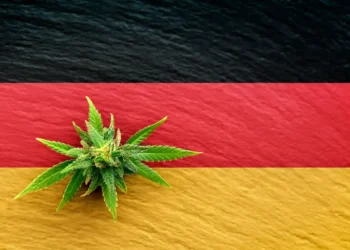 Germany Legalizes Recreational Cannabis Amid Opposition - Power Corridors