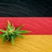 Germany Legalizes Recreational Cannabis Amid Opposition - Power Corridors