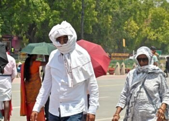 192 homeless died in Delhi due to heatwave between June 11 to 19: Report