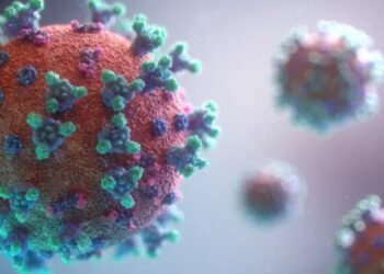 6 cases of Zika virus reported in Pune
