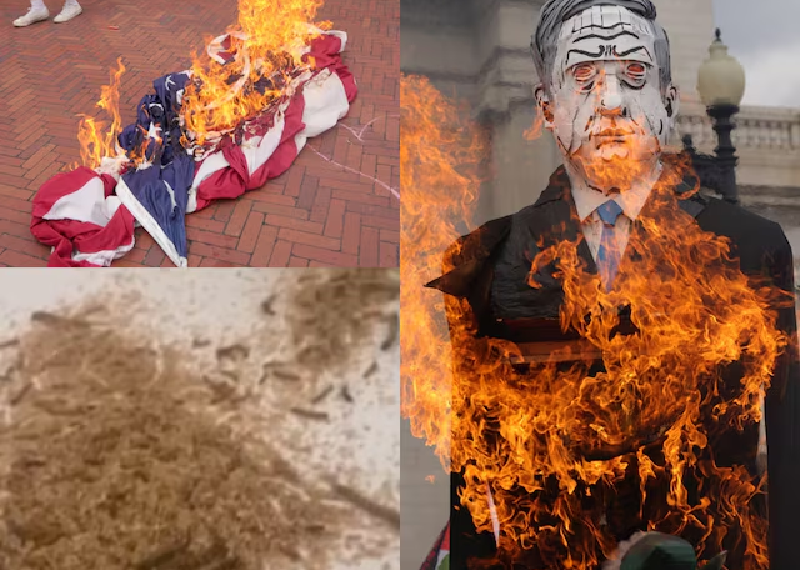 USA Flags replaced with Palestinian Flags; Watch out the video...: Power Corridors