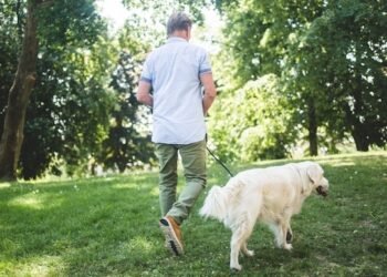 Indian-origin old man dies after being attacked by minors in UK