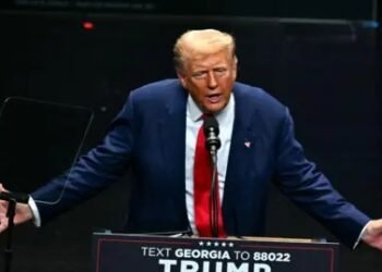 8 US states to vote on law preventing non-citizens from voting in polls