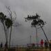 Cyclone Dana: Intense rain in Odisha, Bengal; heavy landfall to begin
