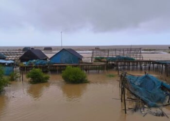 Cyclone Dana: Heavy rain lashes Odisha coast; trees uprooted as landfall begins