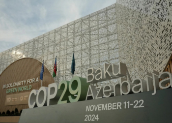 COP 29 Baku: Countries Approve New Rules for Carbon Trading Between Nations