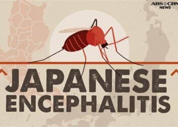 Japanese Encephalitis Back in Delhi After 13 Years