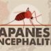 Japanese Encephalitis Back in Delhi After 13 Years