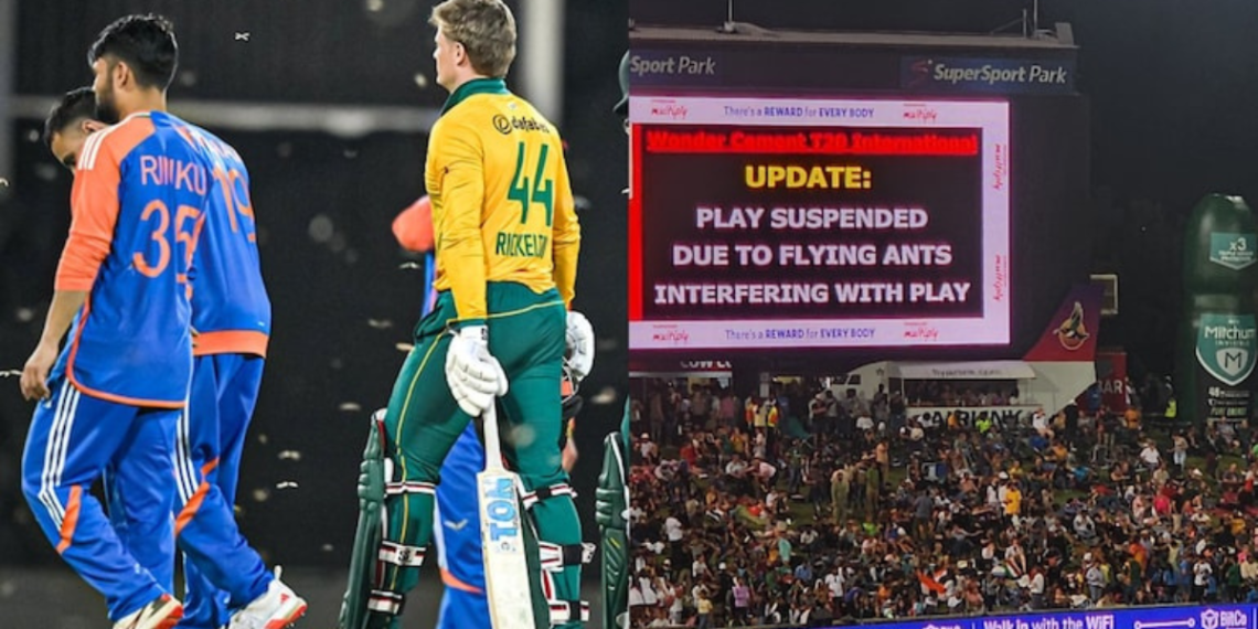 Match Stopped by Flying Ants: IND vs SA 3rd T20I Suspended for 30 Minutes