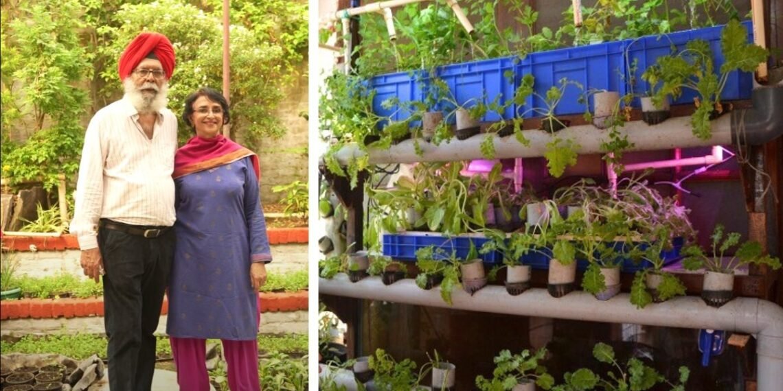 Where’s the smog? This Delhi Home maintains an AQI of 15