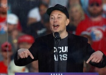 ‘India counted 640 million votes in a day’: Musk on delayed California result