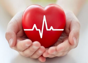 Check out some great diets to keep a healthy heart!