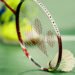Malvika Bansod, Ayush Shetty enter SFs of Hylo Open Badminton