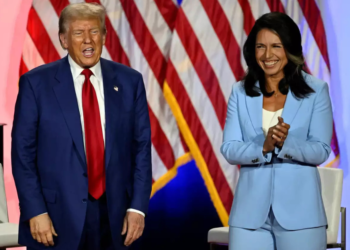 Who is Tulsi Gabbard? Donald Trump's Pick for Spy Chief