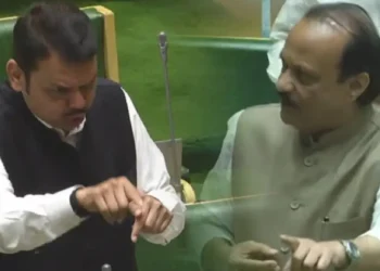 Fadnavis shows Ajit Pawar his place, his root