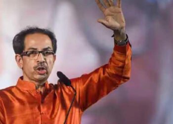 Uddhav Thackeray: The cub who could never become a tiger