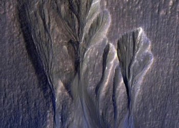 A 2016 image captured by NASA's Mars Reconnaissance Orbiter reveals what scientists identify as dusty ice along the edges of Martian gullies. Planetary scientist Dr. Aditya Khuller and his team suggest this ice could be a key target in the search for extraterrestrial life.