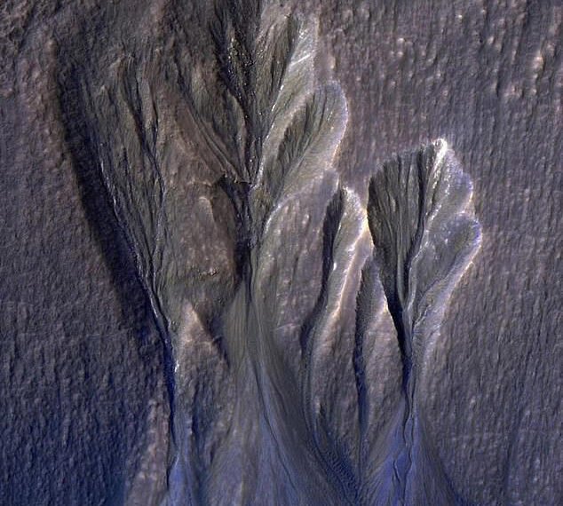 A 2016 image captured by NASA's Mars Reconnaissance Orbiter reveals what scientists identify as dusty ice along the edges of Martian gullies. Planetary scientist Dr. Aditya Khuller and his team suggest this ice could be a key target in the search for extraterrestrial life.
