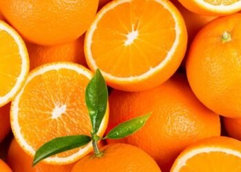 Health Talk! 5 reasons Citrus Foods are helpful in boosting Immunity
