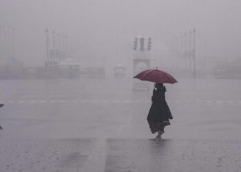 As Cold Wave grips Capital, IMD predicts more rainfall in coming days