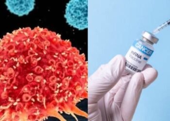 All you need to know about Russia’s recently-developed Cancer Vaccine