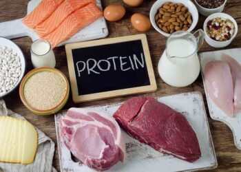 Health Talk! How much protein is sufficient for the body?