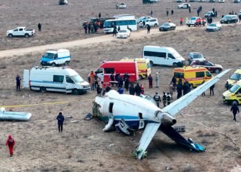 Bird Strike or Fog? Mist over Airliner Crash in Kazakhstan