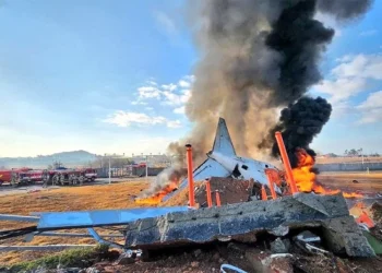 Only 2 out of 181 people survived the Jeju Air crash.