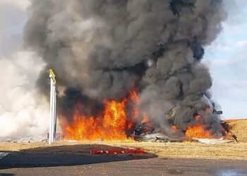 Bird Strike Likely Behind the Deadly Jeju Airliner crash