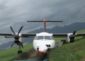 How Bird Strikes Can Bring Down Planes: A Look at the Growing Threat