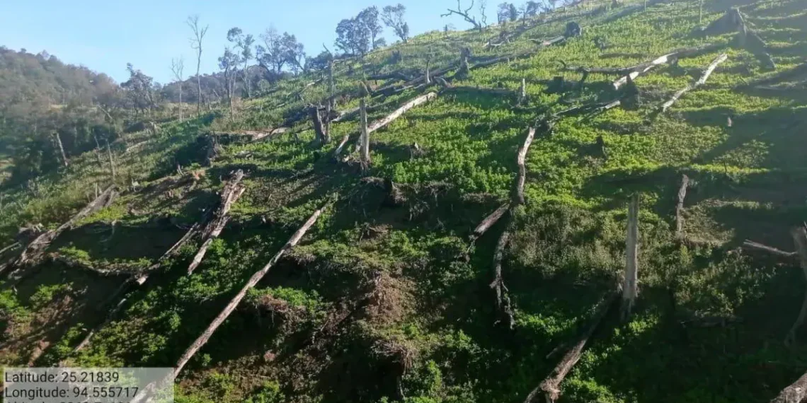 Manipur Intensifies War on Drugs Amid Growing Crisis