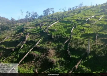 Manipur Intensifies War on Drugs Amid Growing Crisis