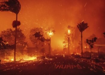 Explained: What led to the Los Angeles Wildfires?