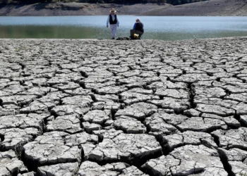 Climate change impact