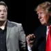 Elon Musk and Donald Trump