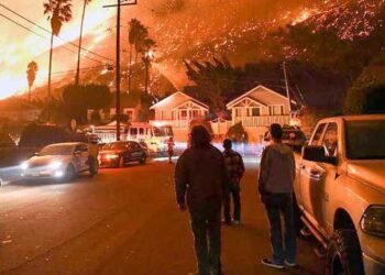 LA wildfires: Losses Cross $50 Billion, Insurance Market in Crisis