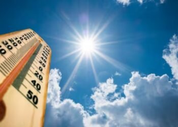 Heatwaves likely to prevail in Mumbai over next 3 days: IMD