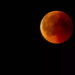 Everything You Need To Know About The Blood Moon March 2025!