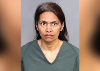 Indian-origin woman takes son’s life on trip to Disneyland amid custody battle