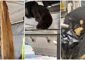 ‘Flushed polythene bags, rags made toilets inoperable’: Air India on flight issue