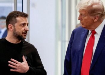 Zelensky calls Trump after Putin agrees to a ceasefire