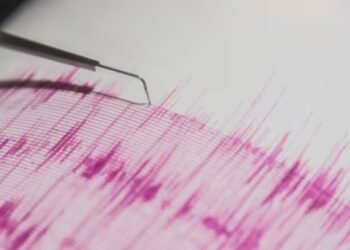 Days after deadly Myanmar Earthquake, Nepal experiences 5.0-magnitude tremors