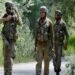 Kashmir: Forces kill 3 Lashkar men in anti-terror op