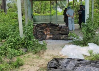 Manipur Operation: Indian Army Counters “Deliberate Killing” Claims; Myanmar’s NUG Alleges Atrocities